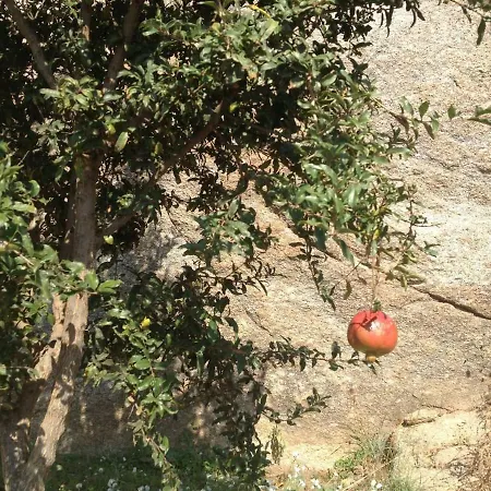 Vrachos * Agios Prokopios (Naxos)