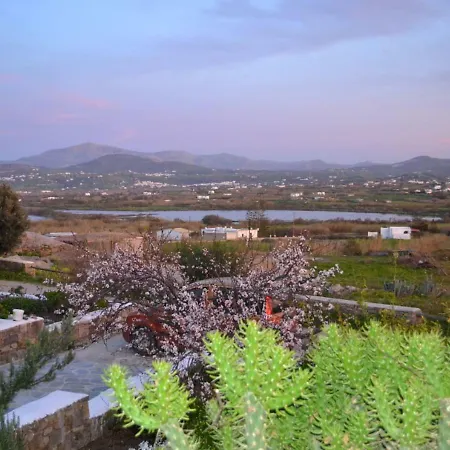 Vrachos Hotel Agios Prokopios (Naxos)